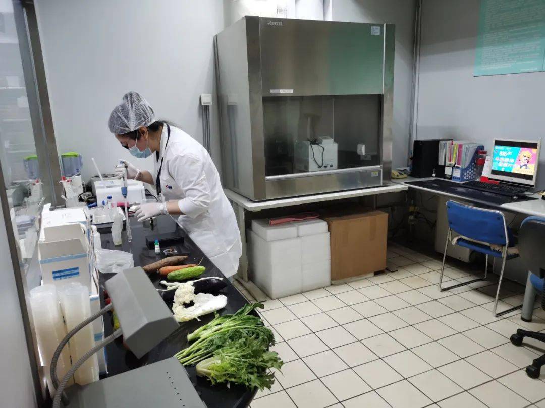 武冈食品检测实验室装修方案